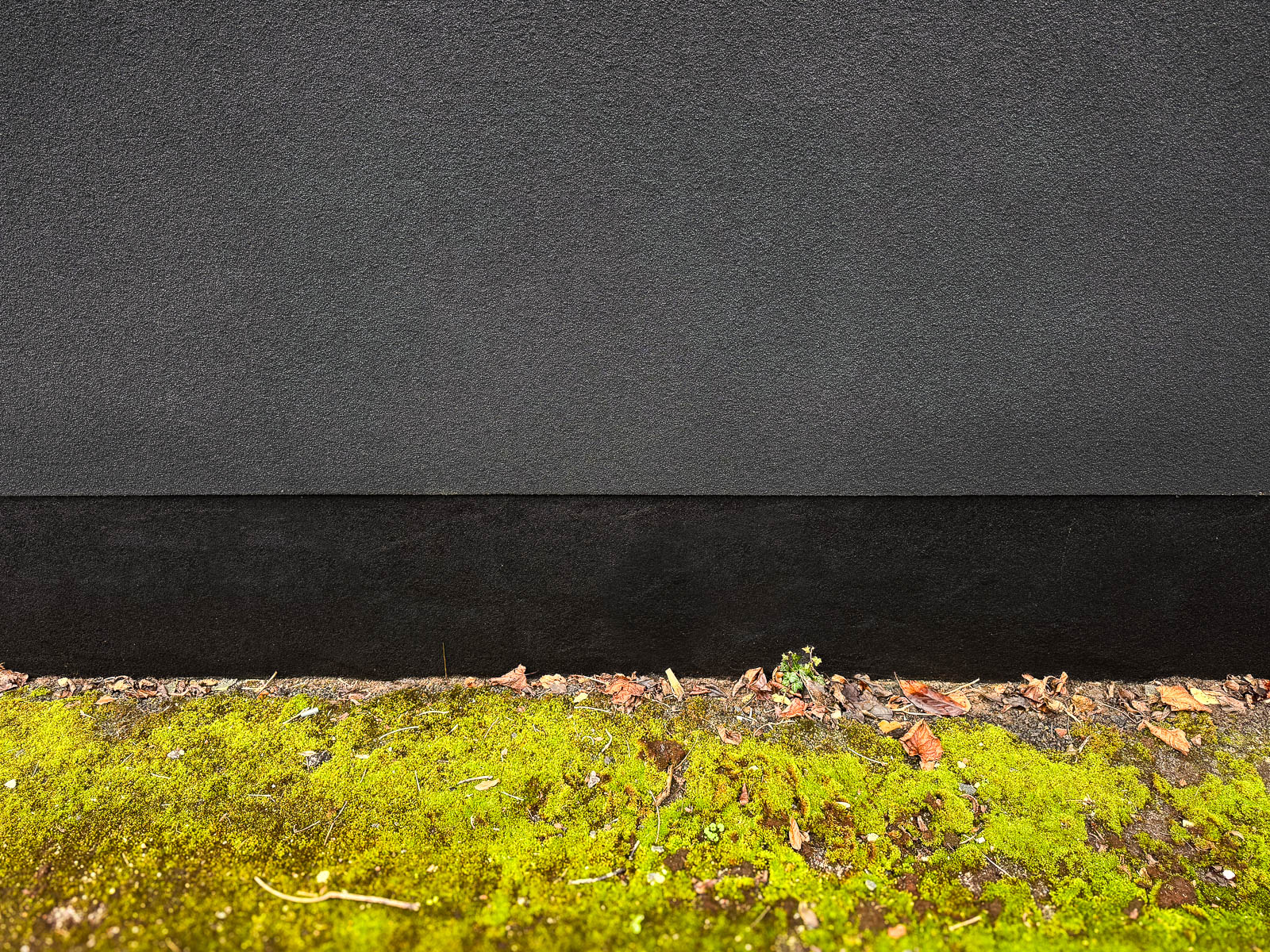 Textured cork finish and dark plinth above moss-covered ground at the Harborne project